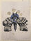 moth-6-2014-poor-quality-photo
